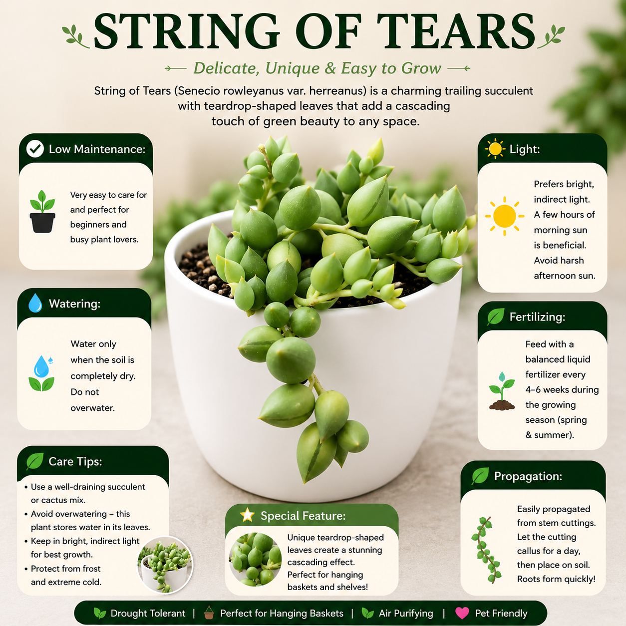 STRING OF TEARS