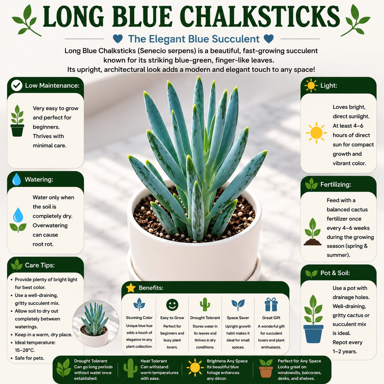 LONG BLUE CHALKSTICKS