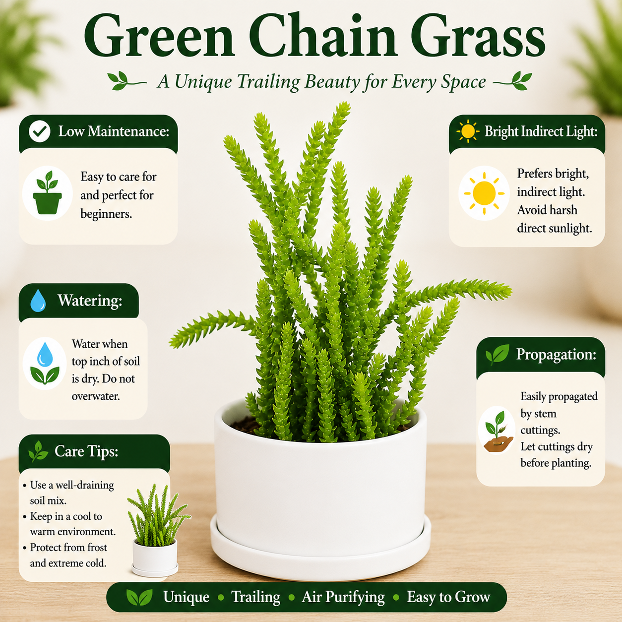 Green chain grass
