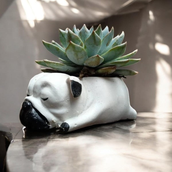 Dog Planter