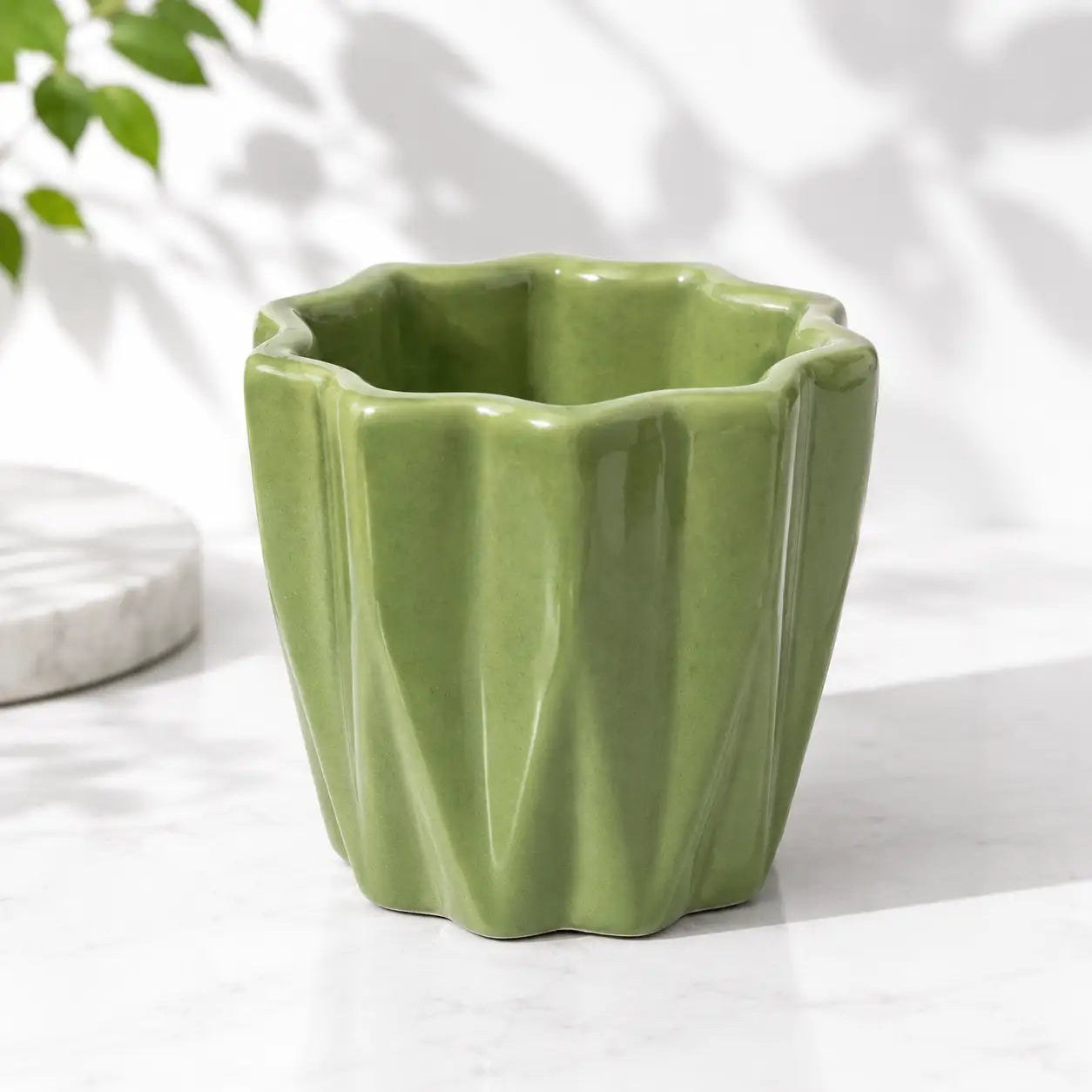 Green Curved Ceramic Pot – Modern Decorative Planter by Nainital Succulents