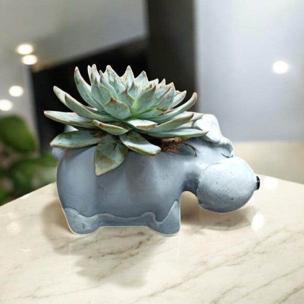 Hippo Planter