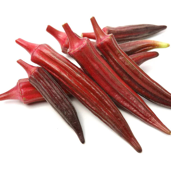 LADY FINGER RED HYBRID SEEDS (15 seeds)