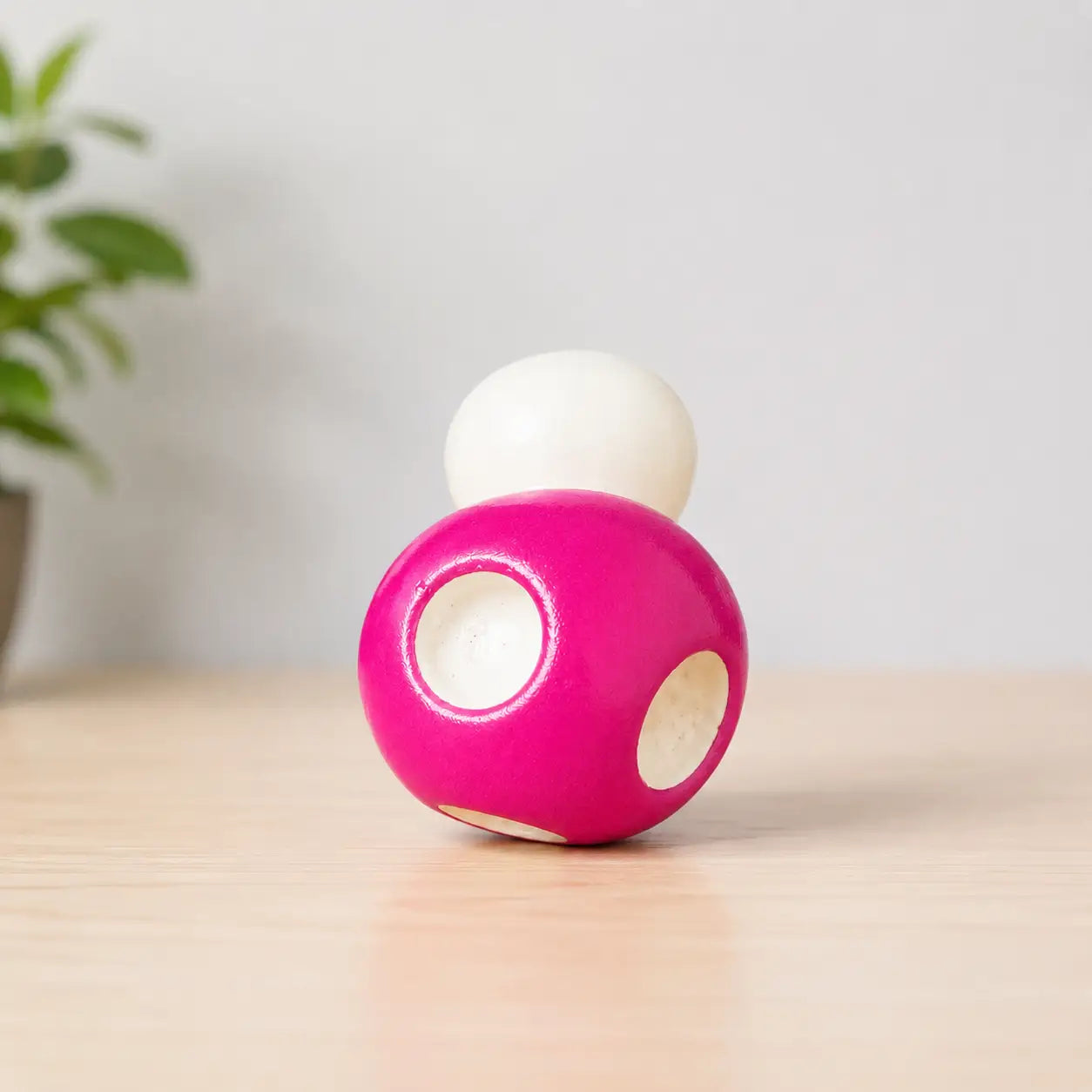Mini Mushroom Miniature