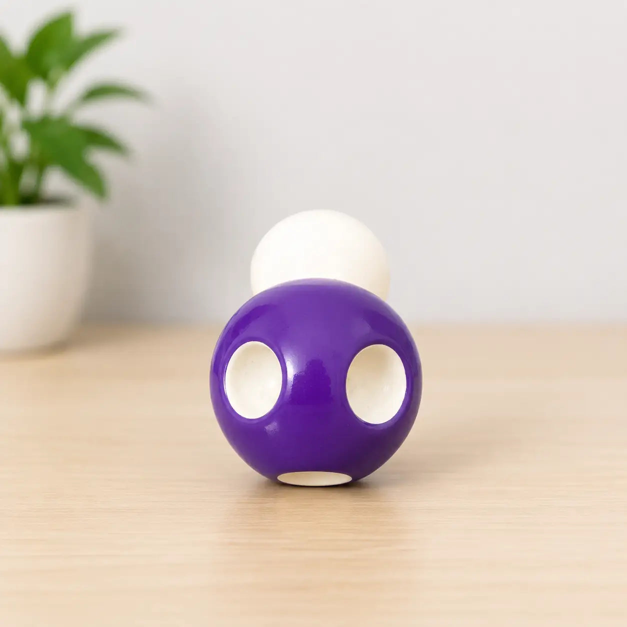 Mini Mushroom Miniature