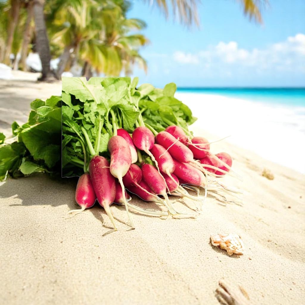 Vegetable Seeds