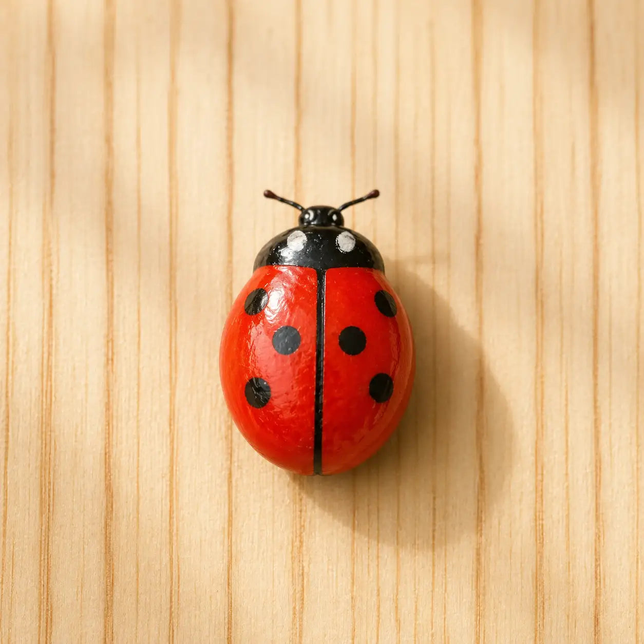 Lady Bugs Miniature