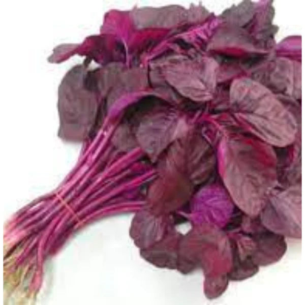 RED SPINACH DESI VEGETABLE SEEDS (200 seeds)