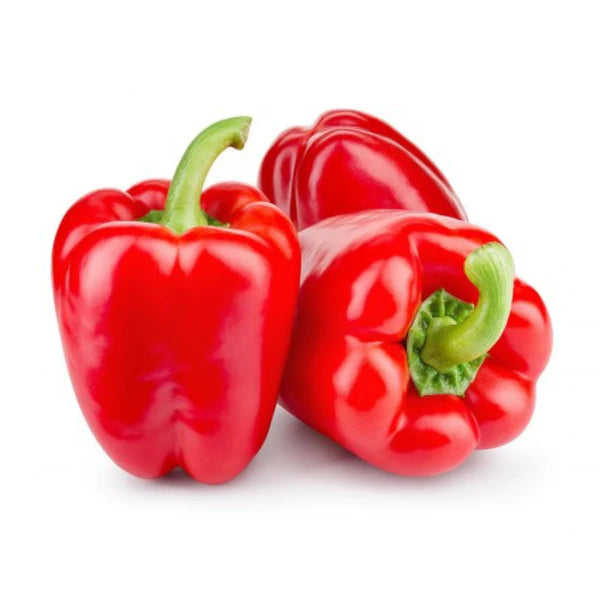CAPSICUM (RED) DESI VEGETABLE SEEDS (20 seeds)