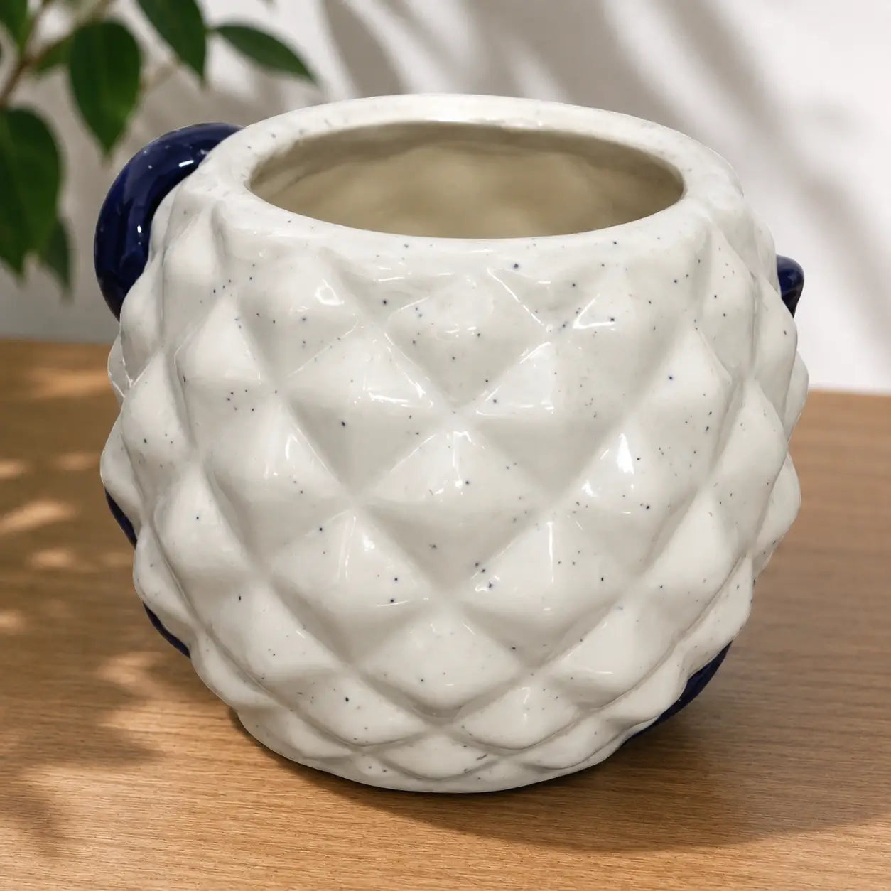 White Diamond Ceramic Pot