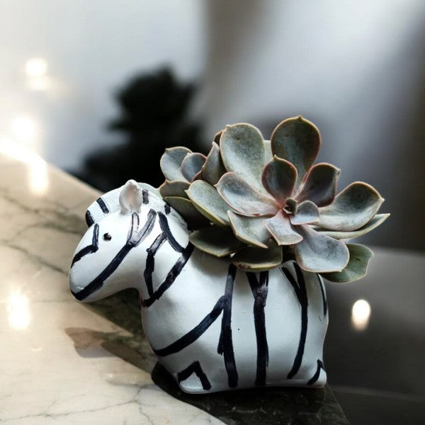 Zebra Planter