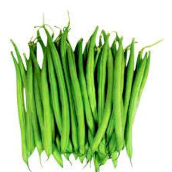 FRENCH BEANS / FRESH PHALLI DESI VEGETABLE SEEDS (20 seeds)