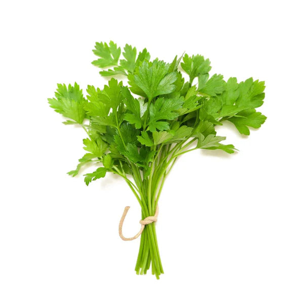 CORIANDER HYBRID SEEDS (200 seeds)