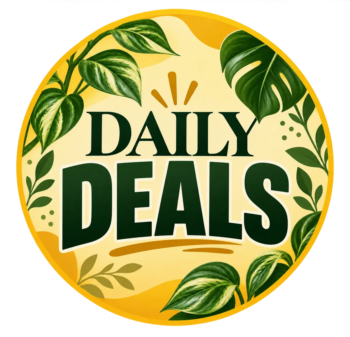 Daily Deals