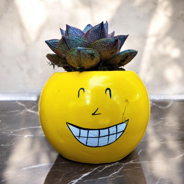 Emoji Planter #2