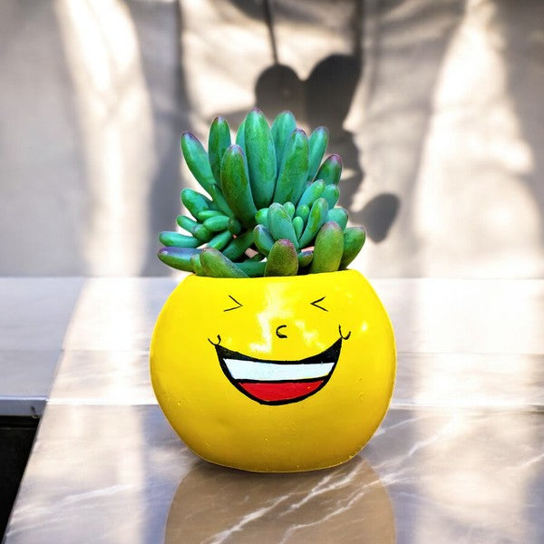 Emoji Planter #4