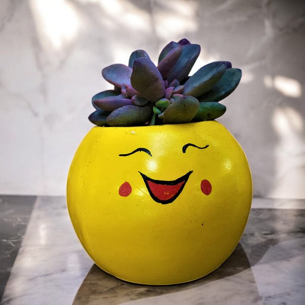 Emoji Planter #5