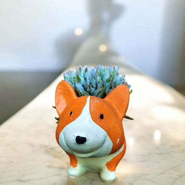 Orange Dog Planter