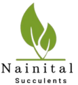 Nainital succulents logo