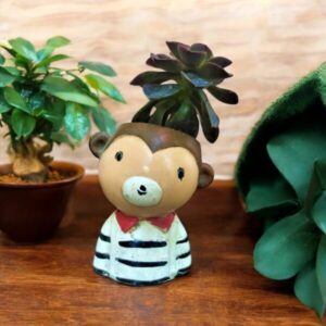 Boy Bear Planter
