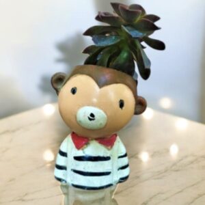 Boy Bear Planter