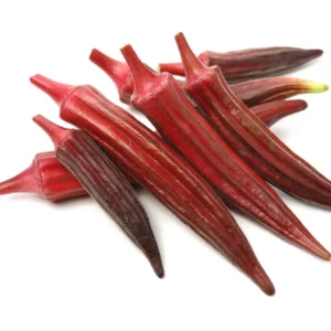 LADY FINGER RED HYBRID SEEDS (15 seeds)