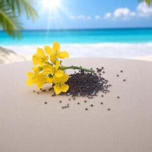 Mustard (Sarso) Hybrid Seeds (200 Seeds)